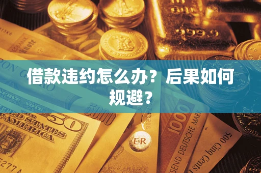 北京借款违约怎么办？后果如何规避？